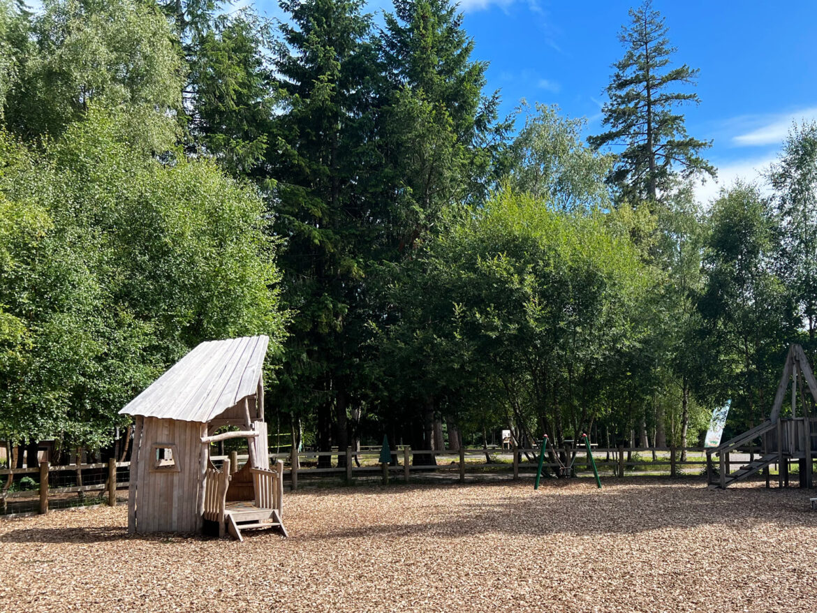 Alice-Holt-Forest-Adventure-Play-Areas-Farnham-Hampshire-15.jpg