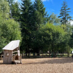 Alice Holt Forest, Story Trails and Adventure Play Areas in Farnham, Hampshire
