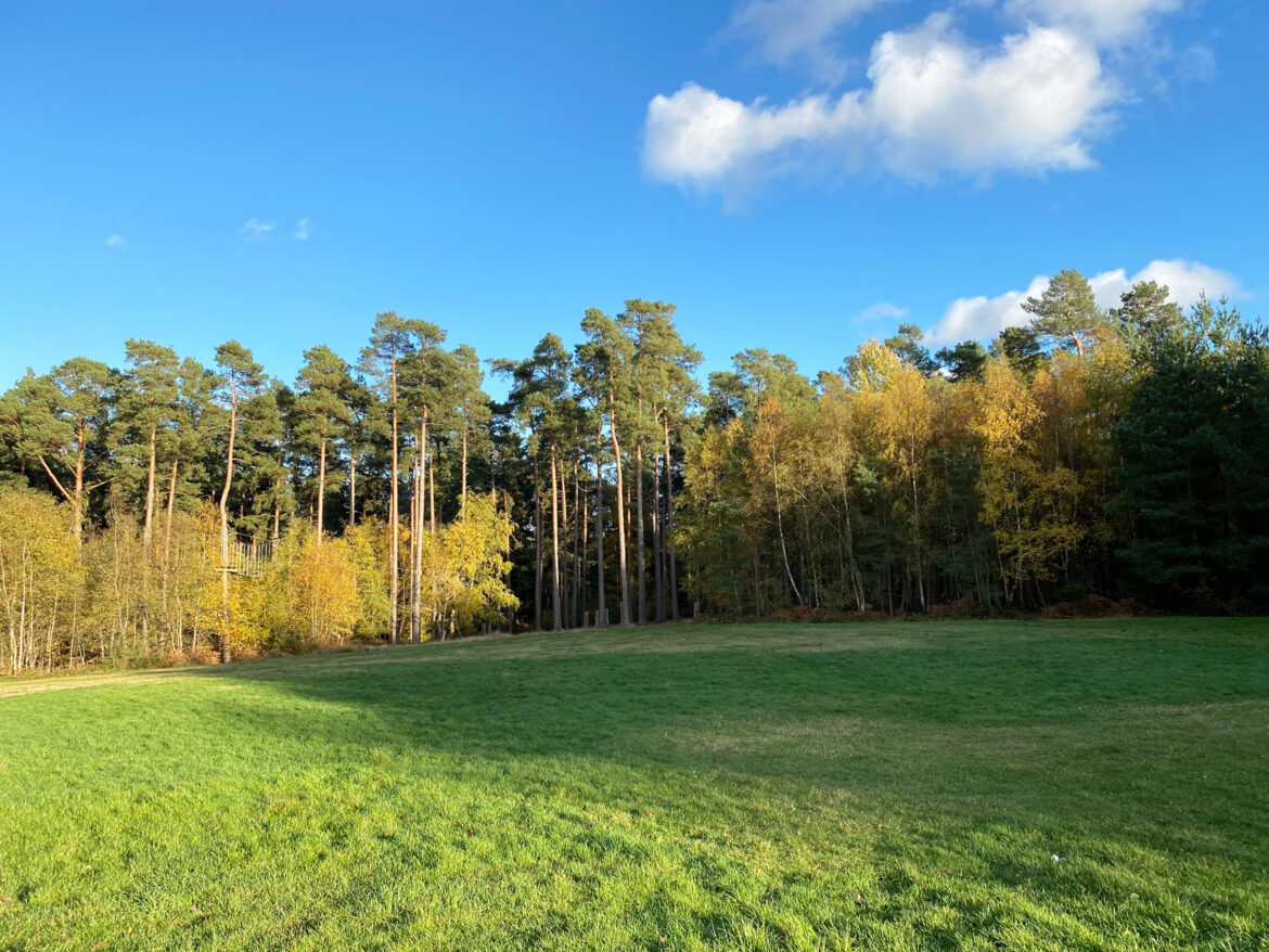 Alice-Holt-Forest-Farnham-Hampshire-1.jpg