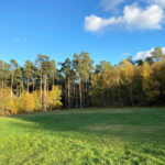 Alice Holt Forest, Story Trails and Adventure Play Areas in Farnham, Hampshire
