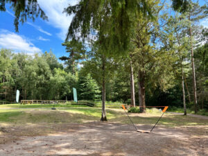 Alice Holt Forest, Story Trails and Adventure Play Areas in Farnham, Hampshire
