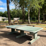 Alice Holt Forest, Story Trails and Adventure Play Areas in Farnham, Hampshire