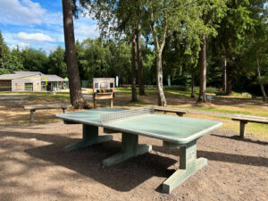 Alice Holt Forest, Story Trails and Adventure Play Areas in Farnham, Hampshire