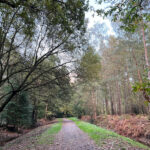 Alice Holt Forest, Story Trails and Adventure Play Areas in Farnham, Hampshire