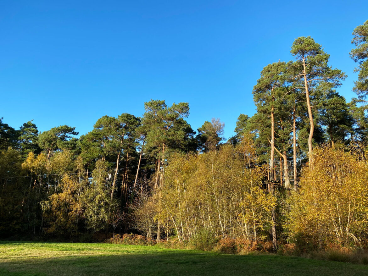 Alice-Holt-Forest-Farnham-Hampshire-2.jpg