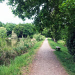 Alice Holt Forest, Story Trails and Adventure Play Areas in Farnham, Hampshire