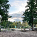 Alice Holt Forest, Story Trails and Adventure Play Areas in Farnham, Hampshire