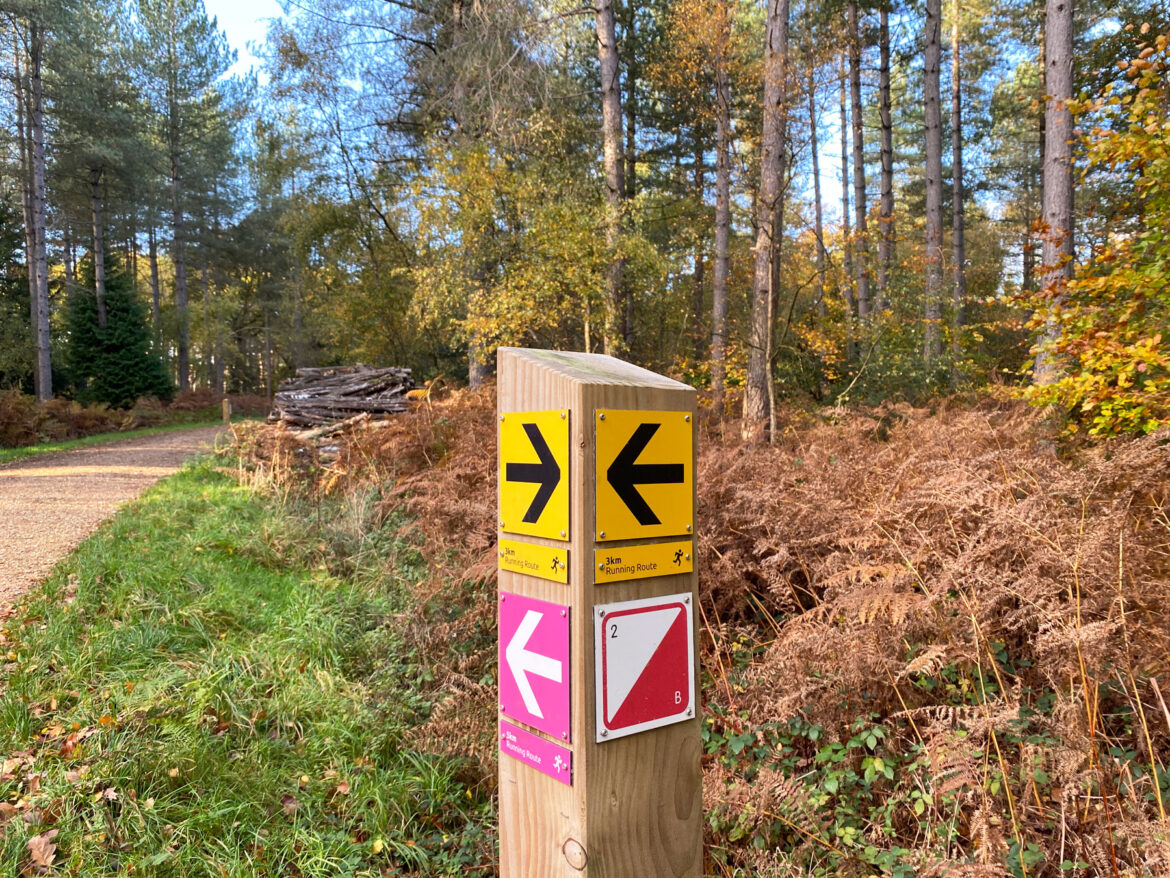 Alice-Holt-Forest-Farnham-Hampshire-3.jpg