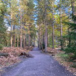 Alice Holt Forest, Story Trails and Adventure Play Areas in Farnham, Hampshire