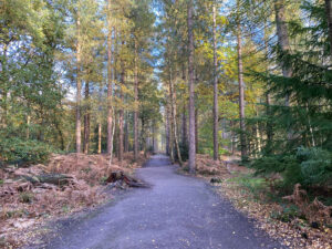 Alice Holt Forest, Story Trails and Adventure Play Areas in Farnham, Hampshire