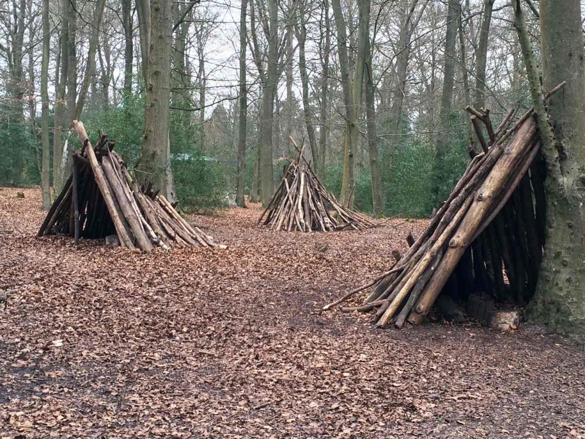 Alice-Holt-Forest-Stick-Man-Trail-1-Op.jpg