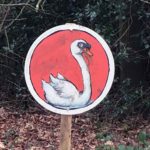 Alice Holt Forest, Story Trails and Adventure Play Areas in Farnham, Hampshire