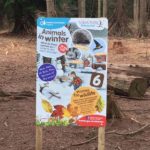 Alice Holt Forest, Story Trails and Adventure Play Areas in Farnham, Hampshire