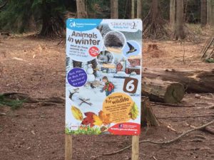 Alice Holt Forest, Story Trails and Adventure Play Areas in Farnham, Hampshire