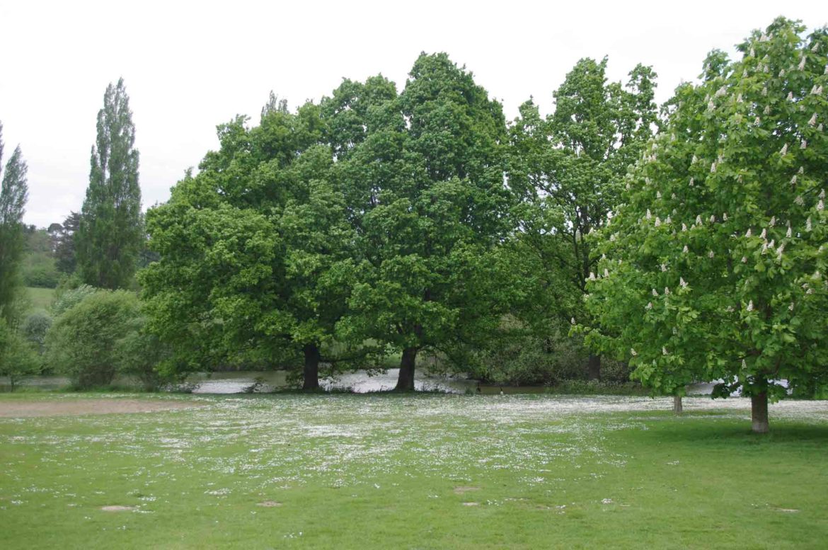 Loseley-Park-1-Op.jpg