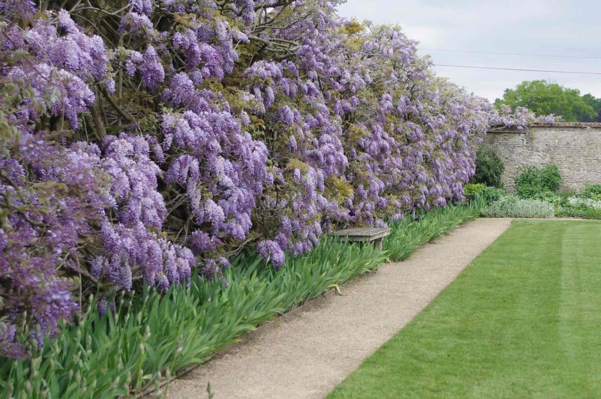 Loseley-Park-4-Op.jpg