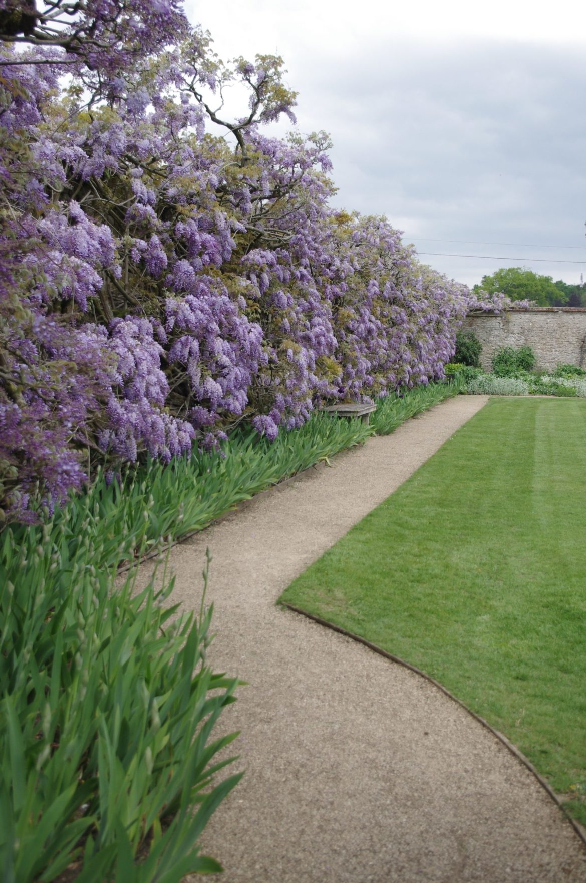 Loseley-Park-46-scaled.jpg