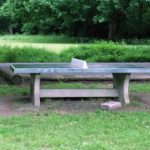 Normandy Common and Play Area, Near Guildford, Surrey