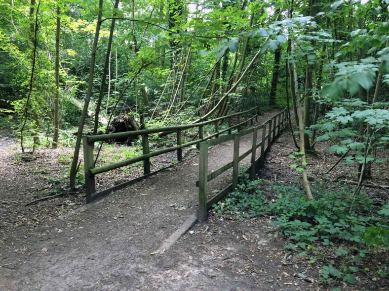 Ambarrow Court Nature Reserve Crowthorne
