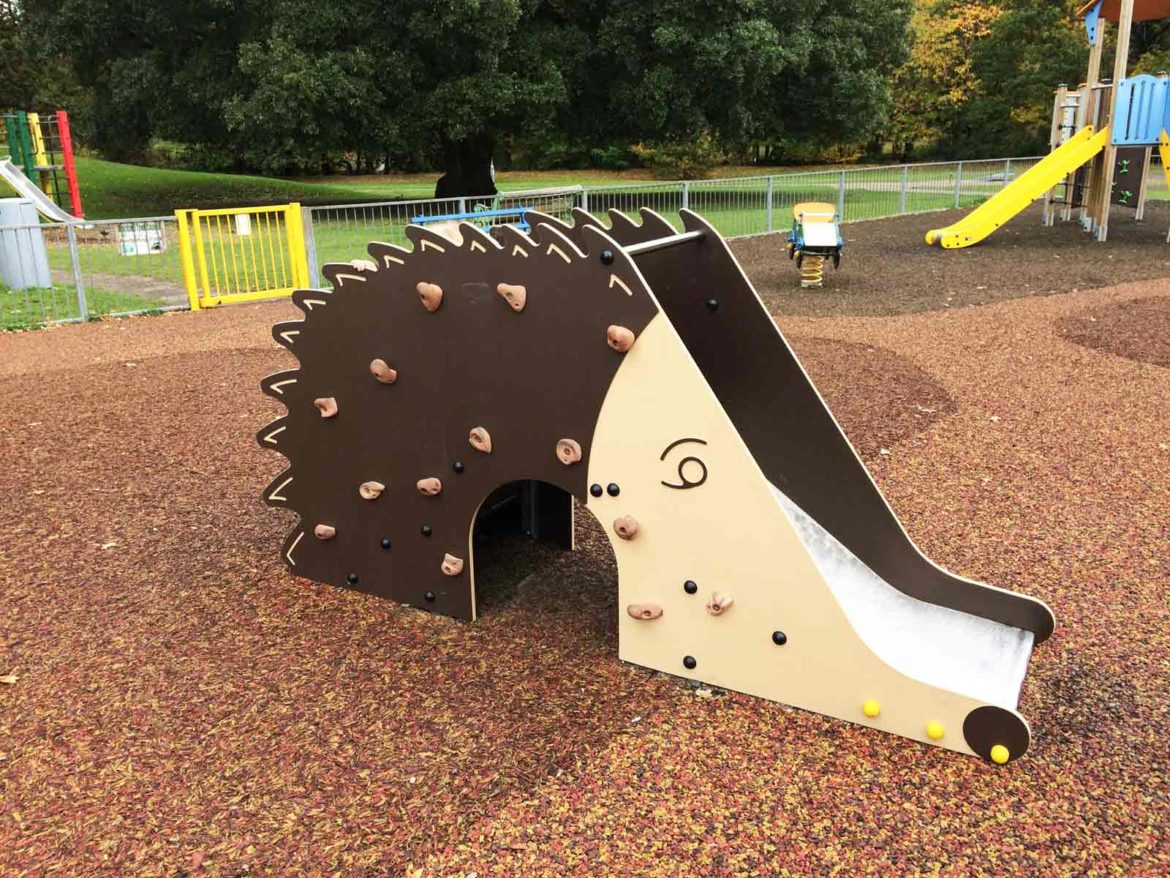 Hedgehog-Park-aka-Birch-Hill-Play-Area-6-Op.jpg
