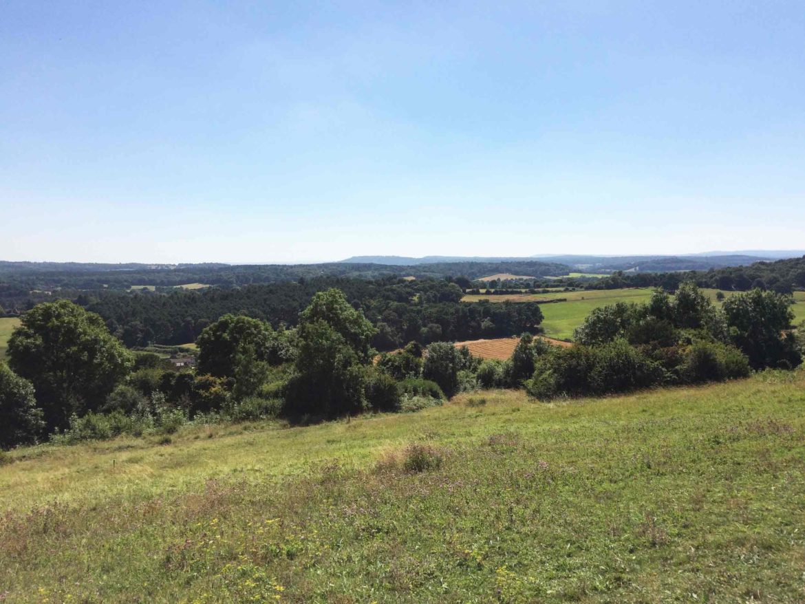 Newlands-Corner-3-Op.jpg