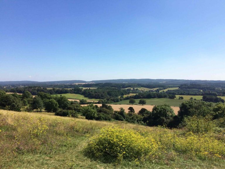 Newlands Corner and Silent Pool Guildford