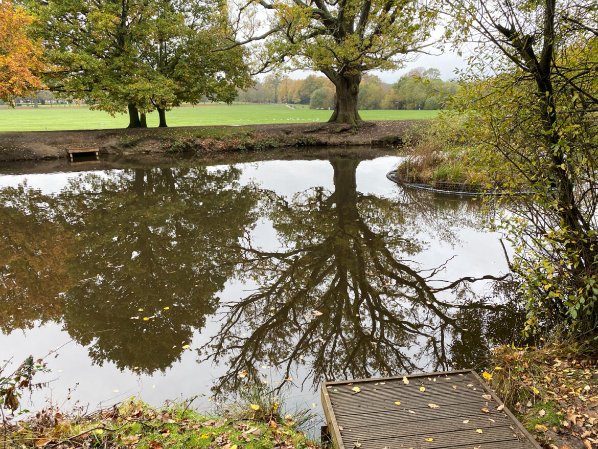 South-Hill-Park-Bracknell-105.jpg