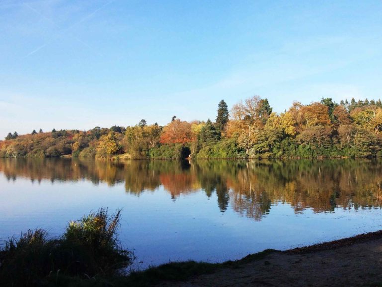 Virginia Water and the Valley Gardens