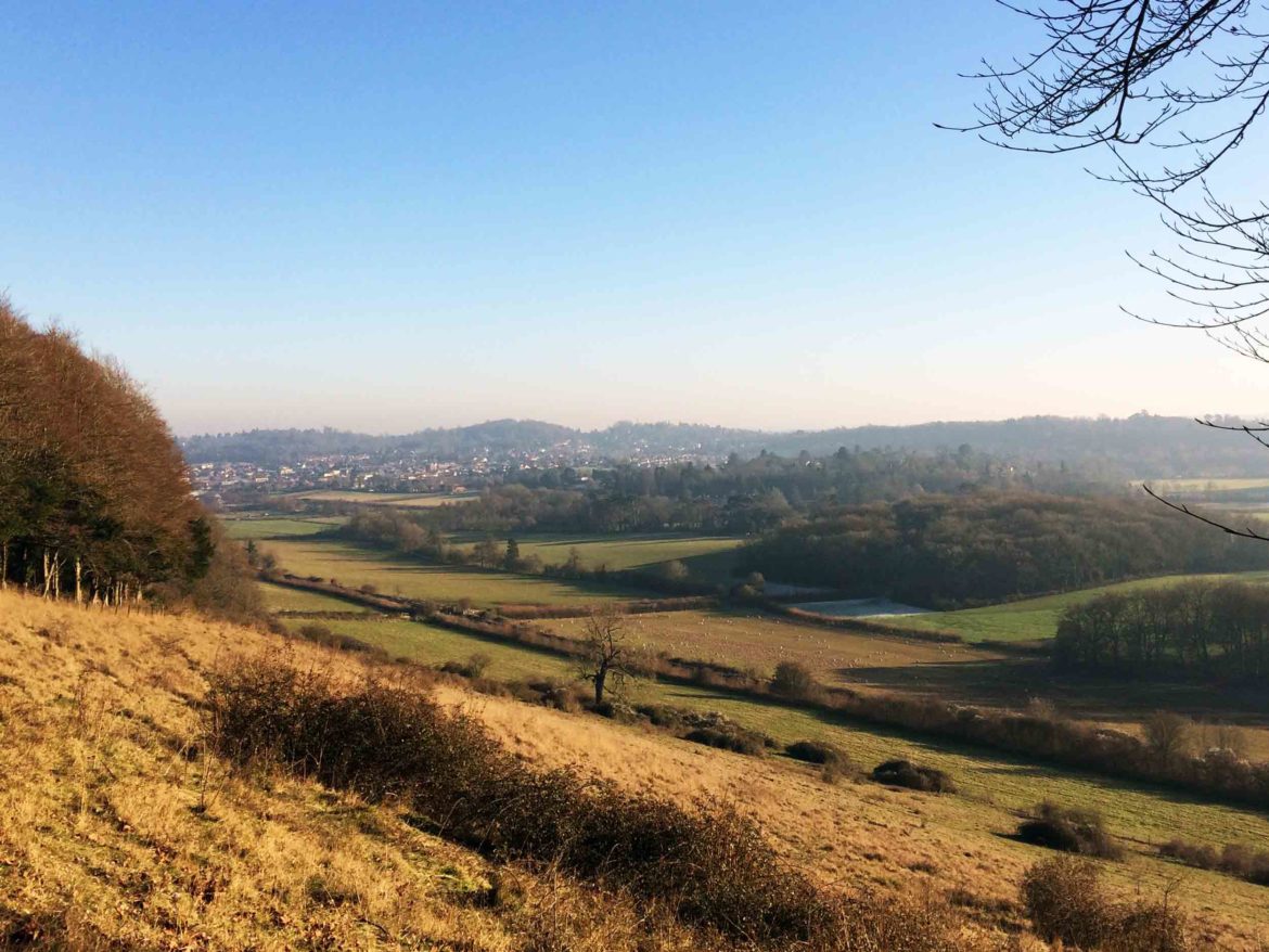 Denbies-Hillside-Dorking-4-Op.jpg