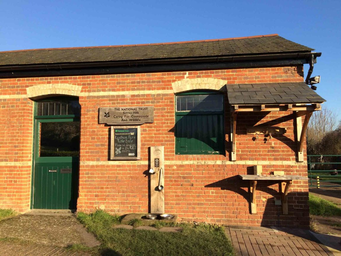 Denbies-Hillside-Dorking-6-Op.jpg