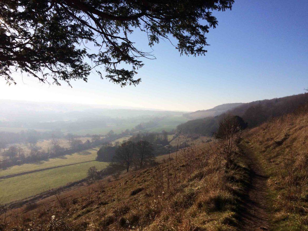 Denbies-Hillside-Dorking-8-Op.jpg