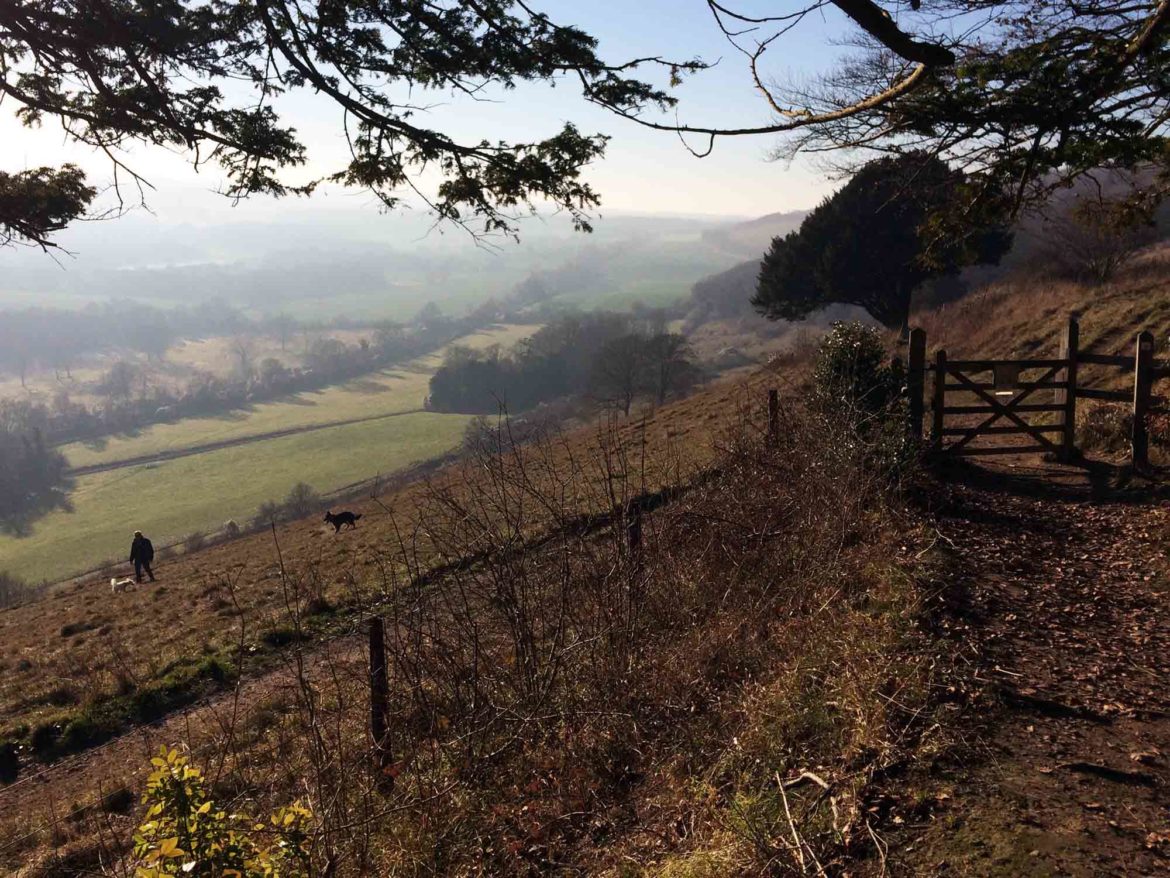Denbies-Hillside-Dorking-9-Op.jpg
