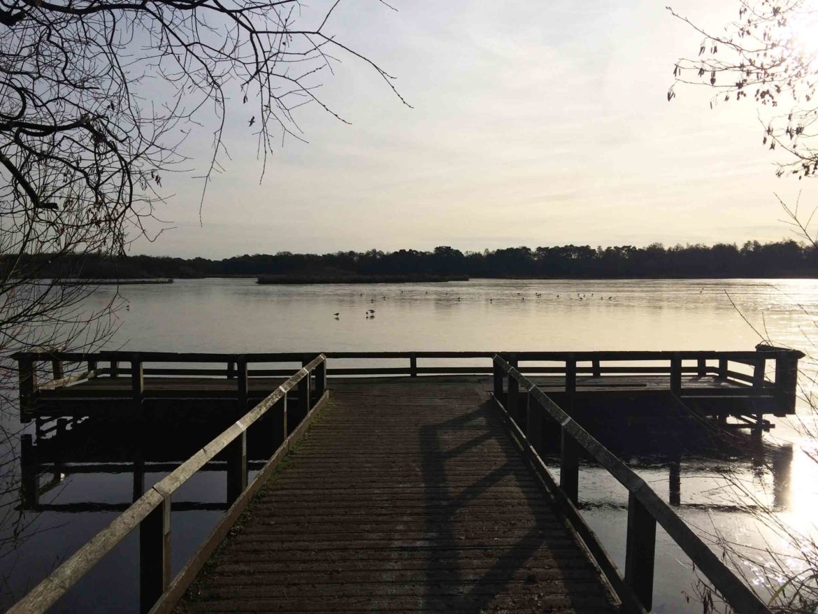 Fleet-Pond-13-Op.jpg