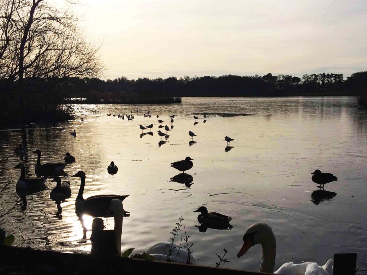 Fleet-Pond-9-Op-1-scaled.jpg