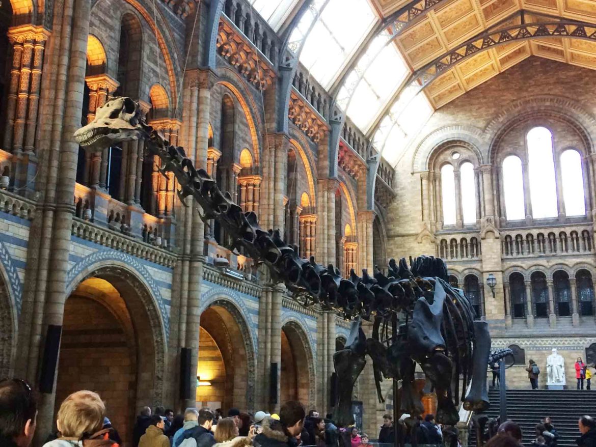 Natural-History-Museum-London-10-Op.jpg