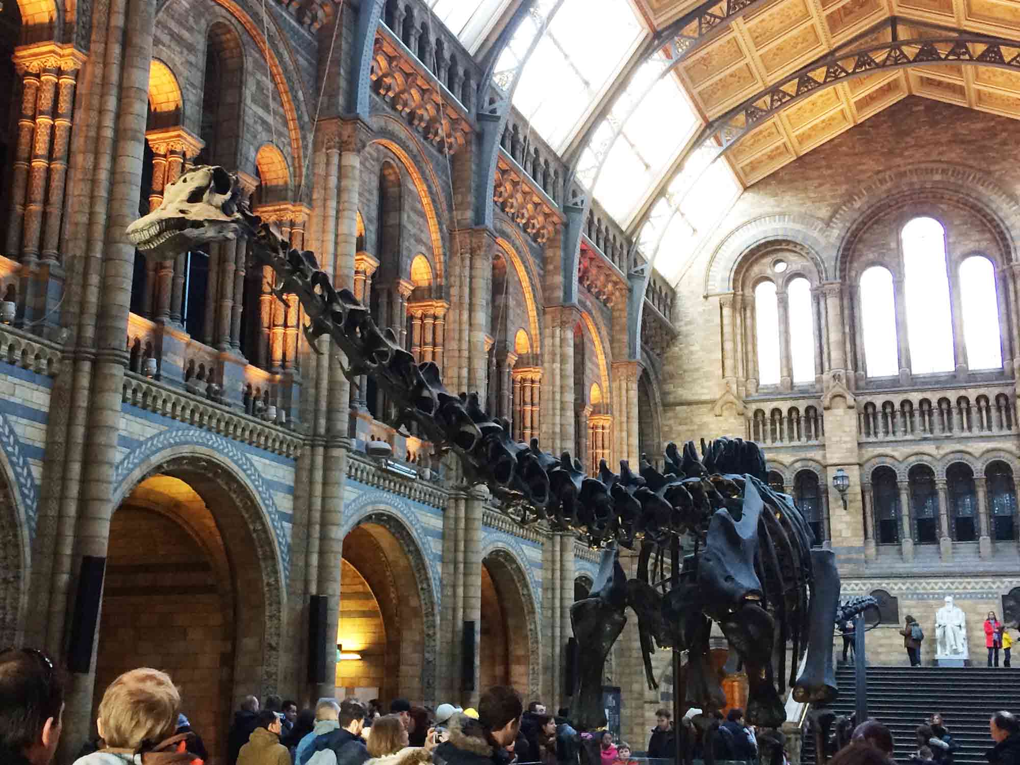 Natural History Museum, London – Toddle Doddle