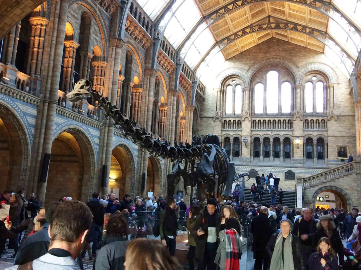 Natural-History-Museum-London-11-Op.jpg