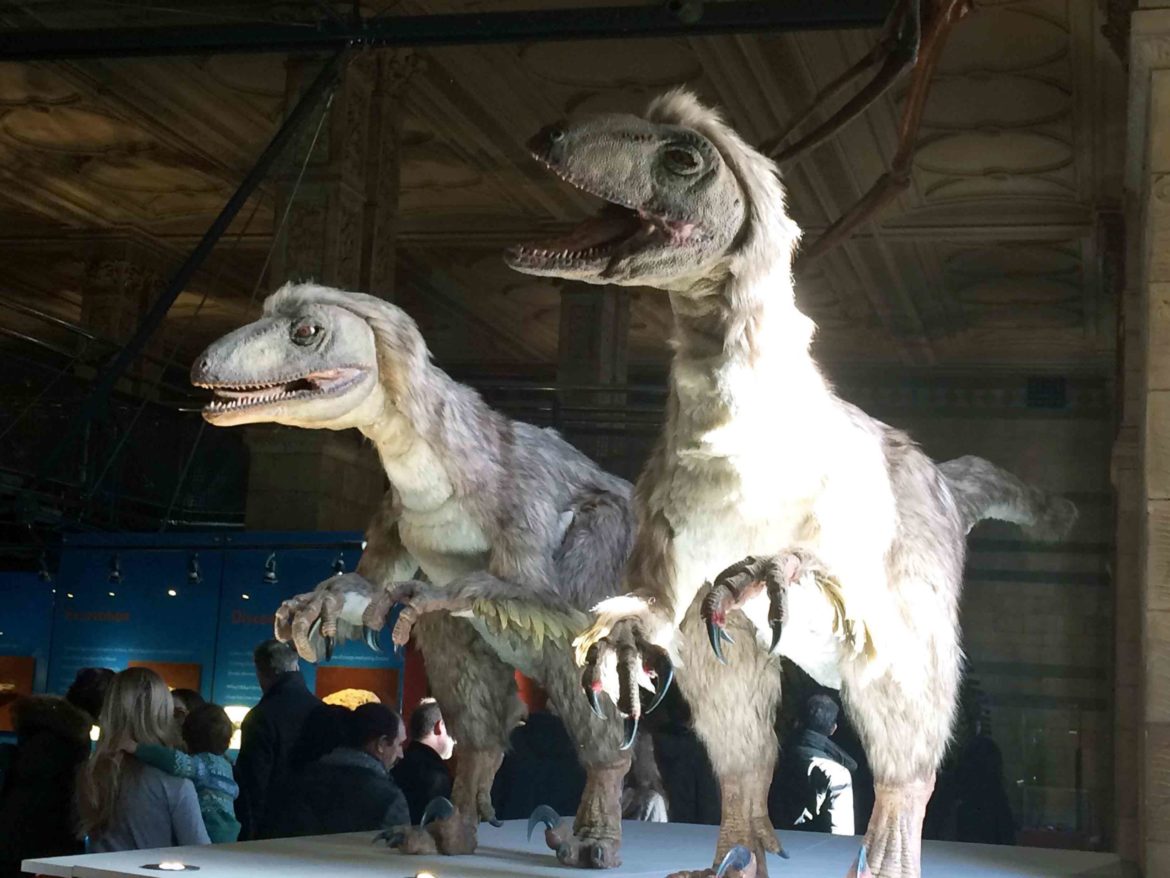 Natural-History-Museum-London-6-Op-scaled.jpg