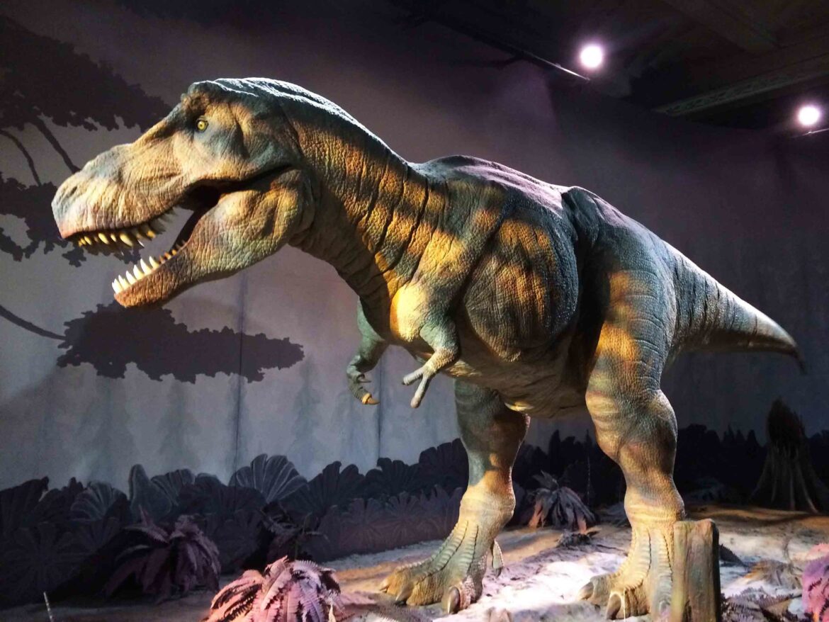 Natural-History-Museum-London-9-Op-scaled.jpg