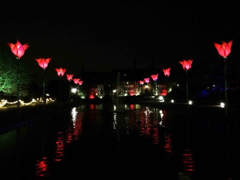 RHS Garden Wisley Illuminations