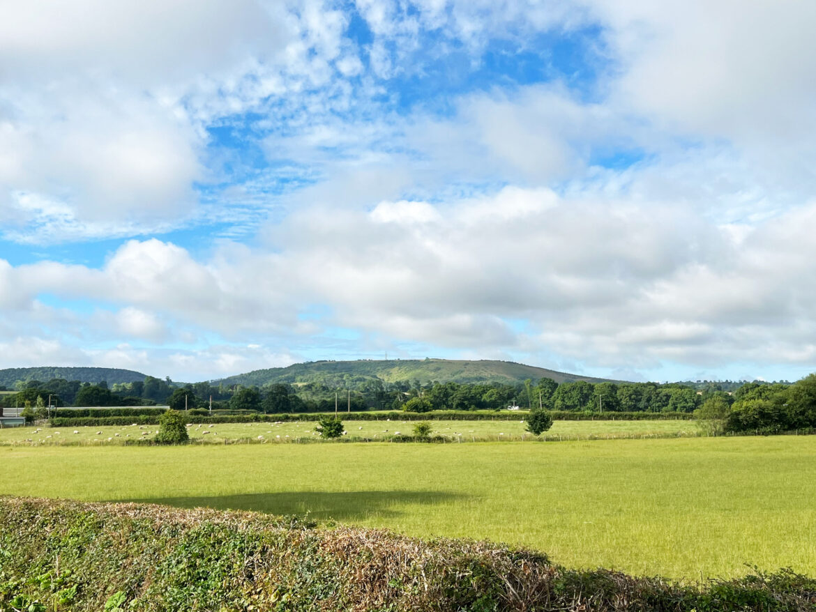 Buster-Hill-Horndean-Hampshire-200.jpg
