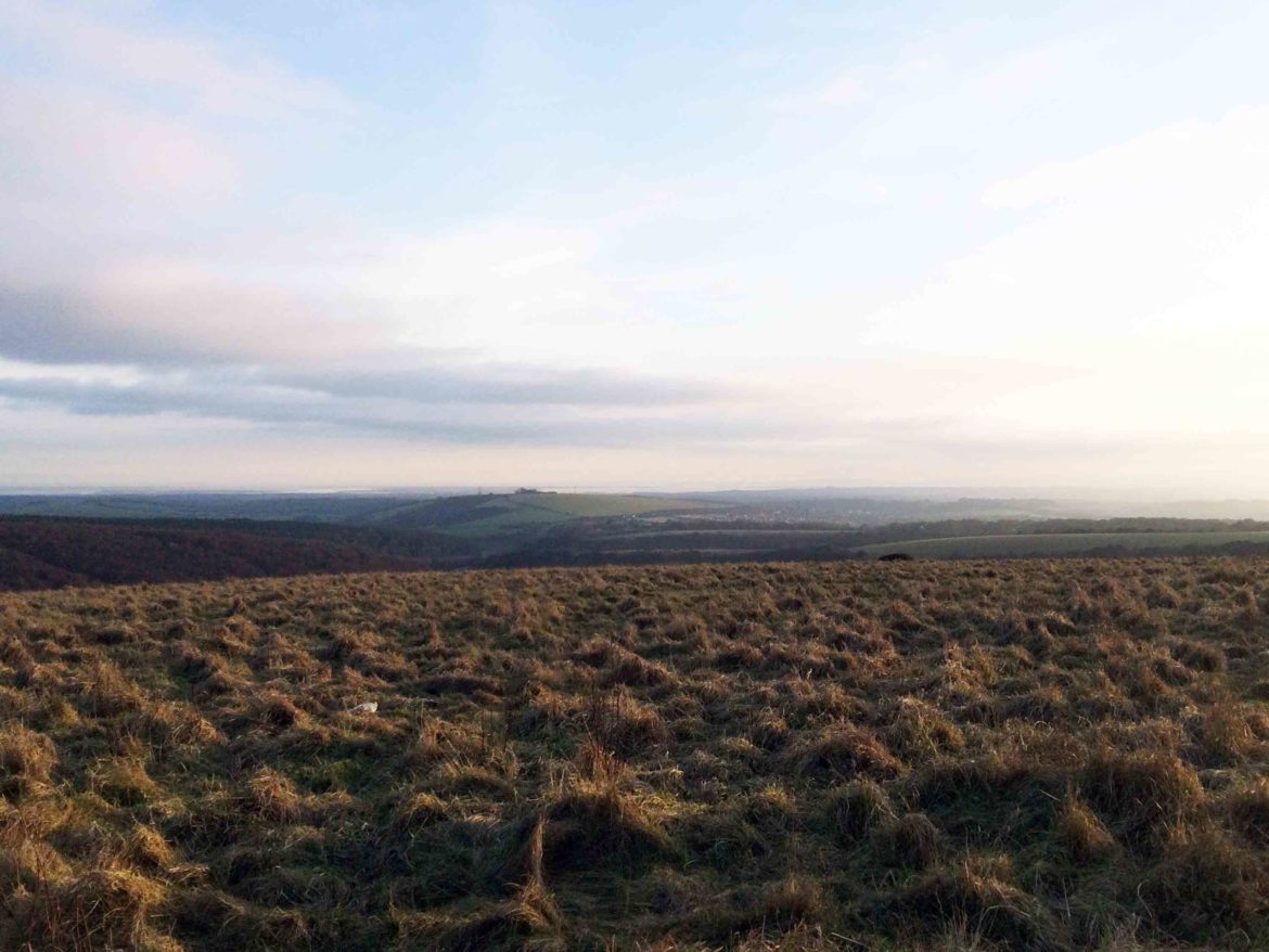 Butser-Hill-National-Nature-Reserve-2-scaled.jpg