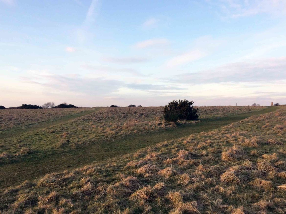 Butser-Hill-National-Nature-Reserve-3-scaled.jpg