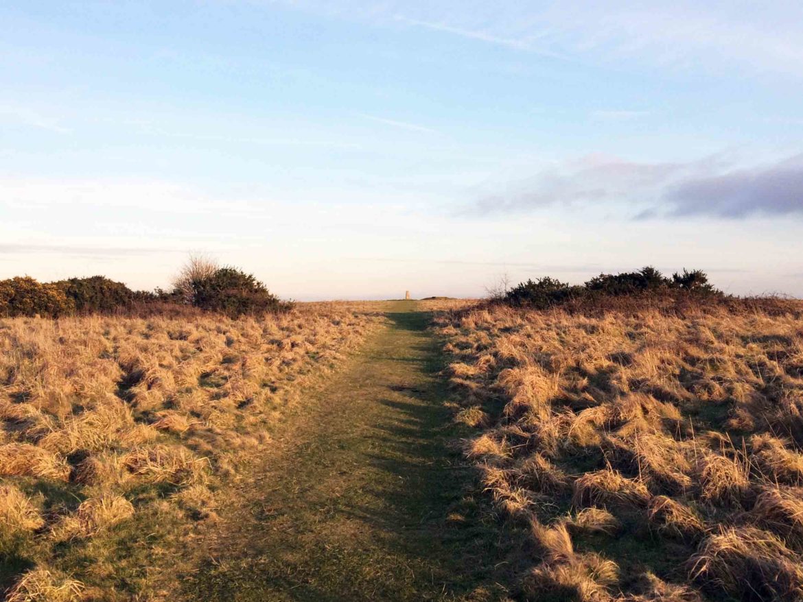 Butser-Hill-National-Nature-Reserve-5.jpg