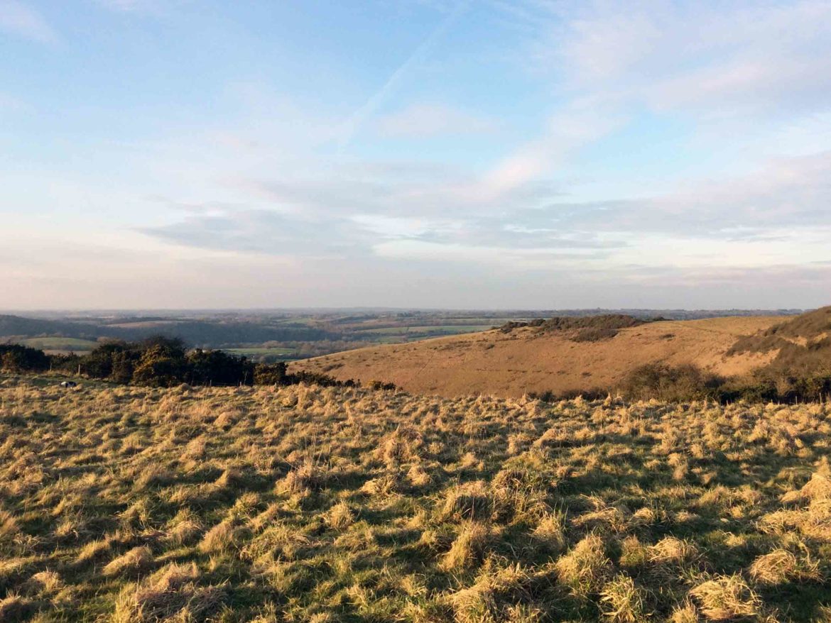 Butser-Hill-National-Nature-Reserve-8.jpg