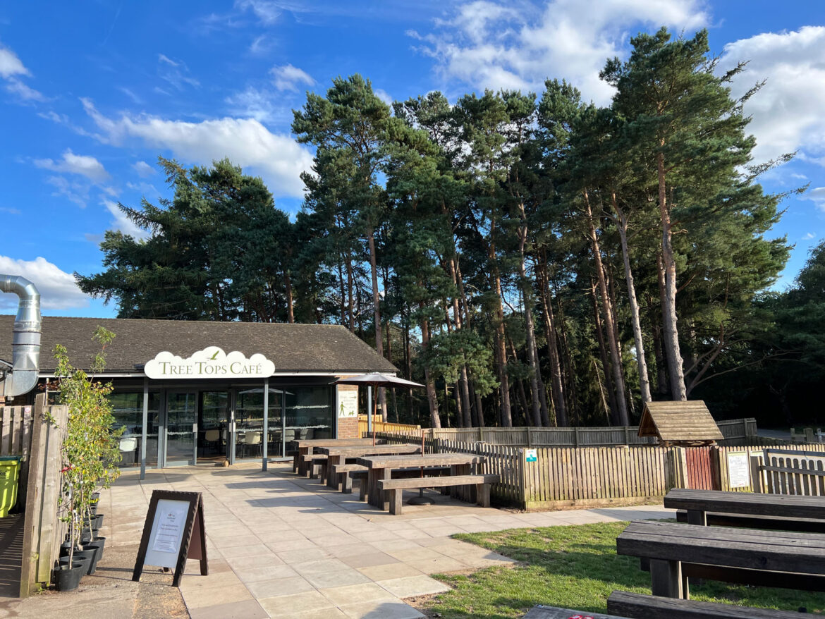 Rushmere-Country-Park-near-Leighton-Linslade-in-Bedfordshire-201.jpg