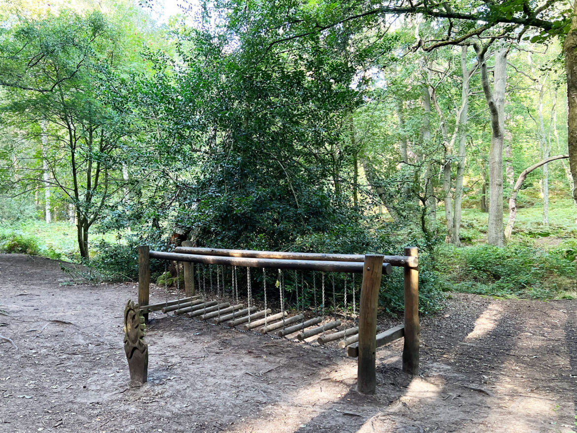 Rushmere-Country-Park-near-Leighton-Linslade-in-Bedfordshire-202.jpg
