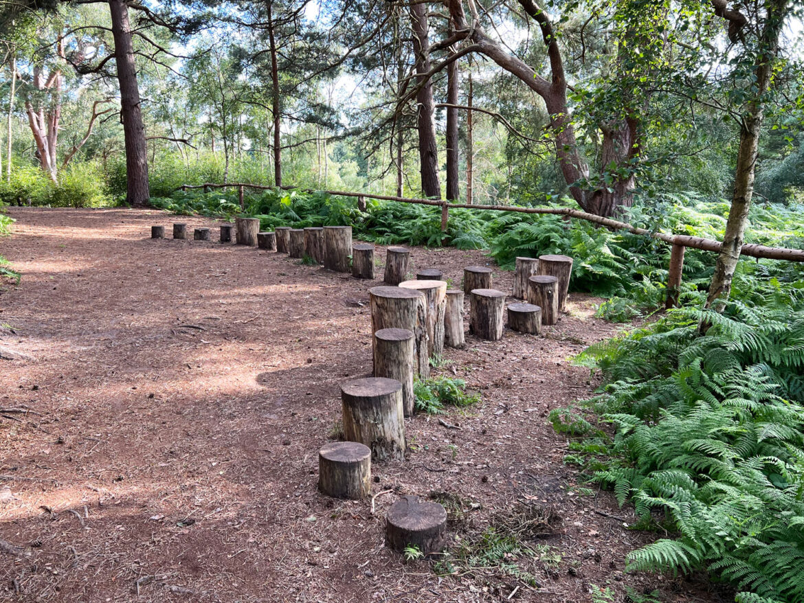 Rushmere-Country-Park-near-Leighton-Linslade-in-Bedfordshire-204.jpg