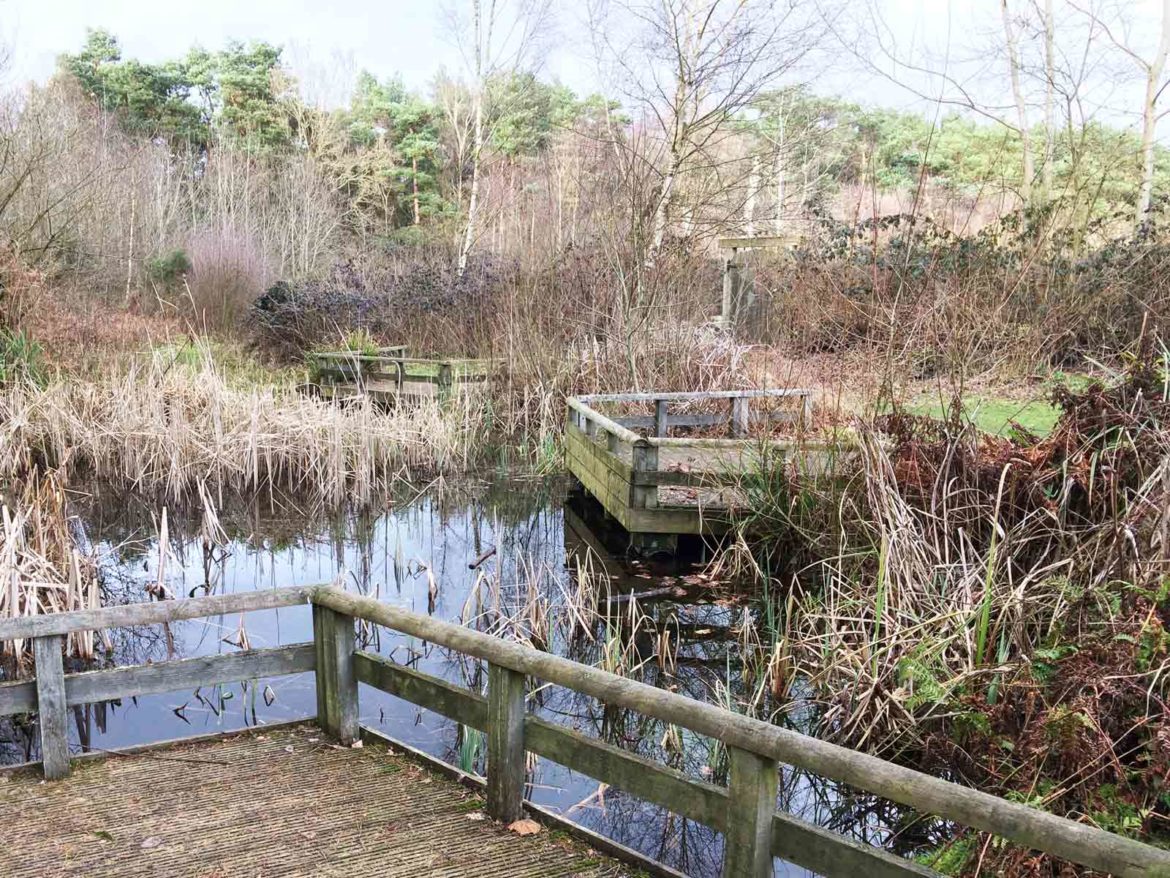 Basingstoke-Canal-Visitor-Centre-Mytchett-12.jpg