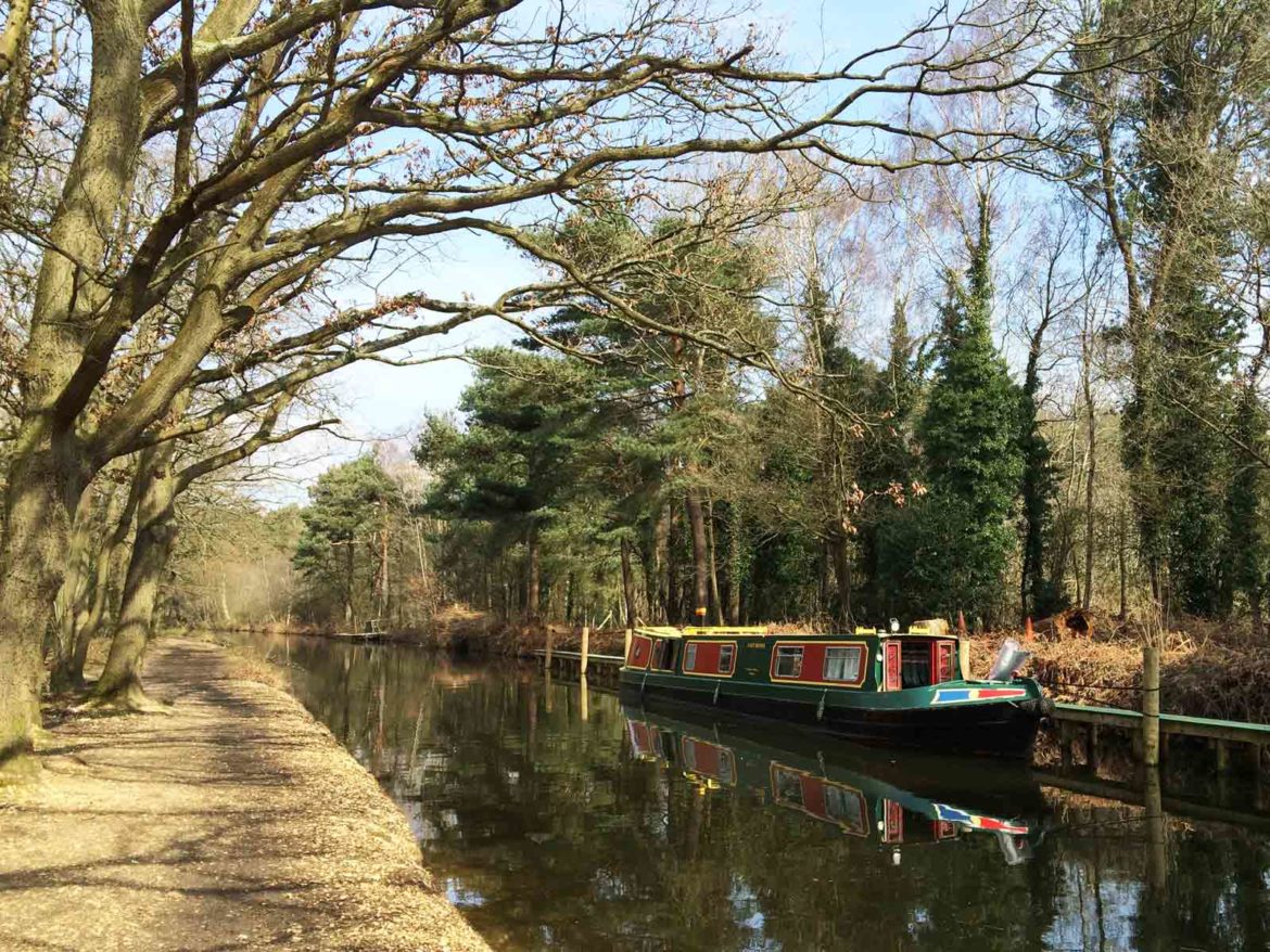 Basingstoke-Canal-Visitor-Centre-Mytchett-16.jpg